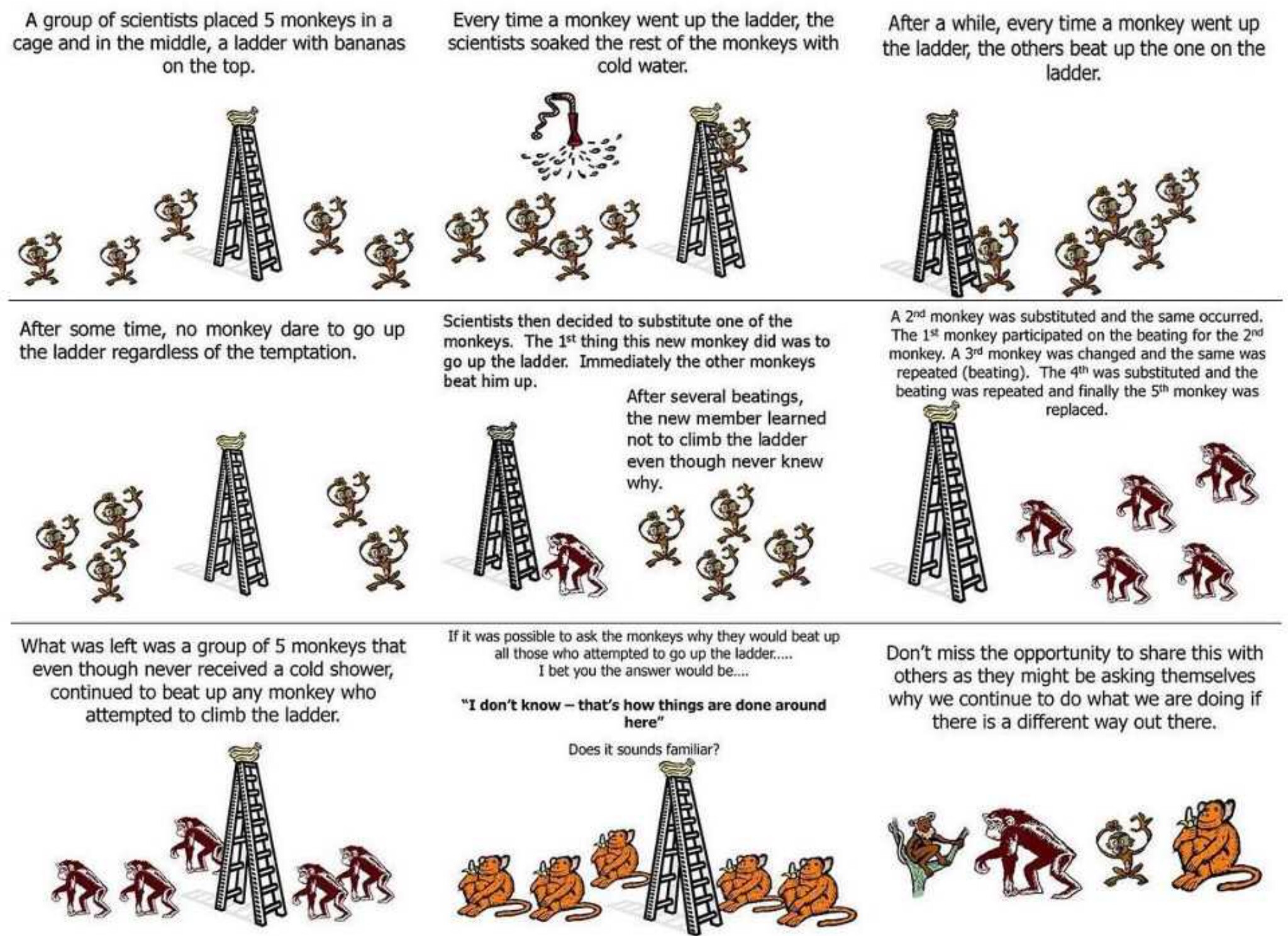 This image depicts a social experiment where monkeys are conditioned to avoid climbing a ladder for bananas through negative reinforcement, eventually leading to a learned behavior that persists even when the original cause is removed. (Captioned by AI)