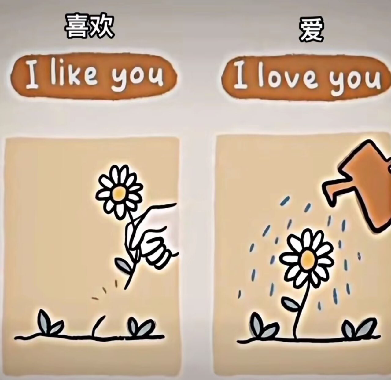 The image uses a simple analogy of picking a flower vs watering a flower to visually represent the difference between "I like you" and "I love you" in both English and Chinese. (Captioned by AI)