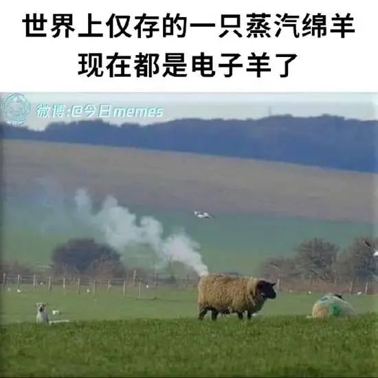 A sheep appears to be emitting smoke in a grassy field, with Chinese text overlaid suggesting it is the last surviving "Tan sheep" and has become an "electric sheep". (Captioned by AI)