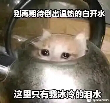 A sad-looking kitten is squeezed inside a tea kettle with a Chinese meme written over the image. (Captioned by AI)