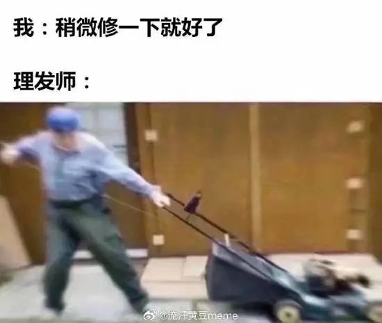 A blurry image depicts a person aggressively pulling the starter cord on a lawnmower, likely for comedic effect or as part of a meme format. (Captioned by AI)