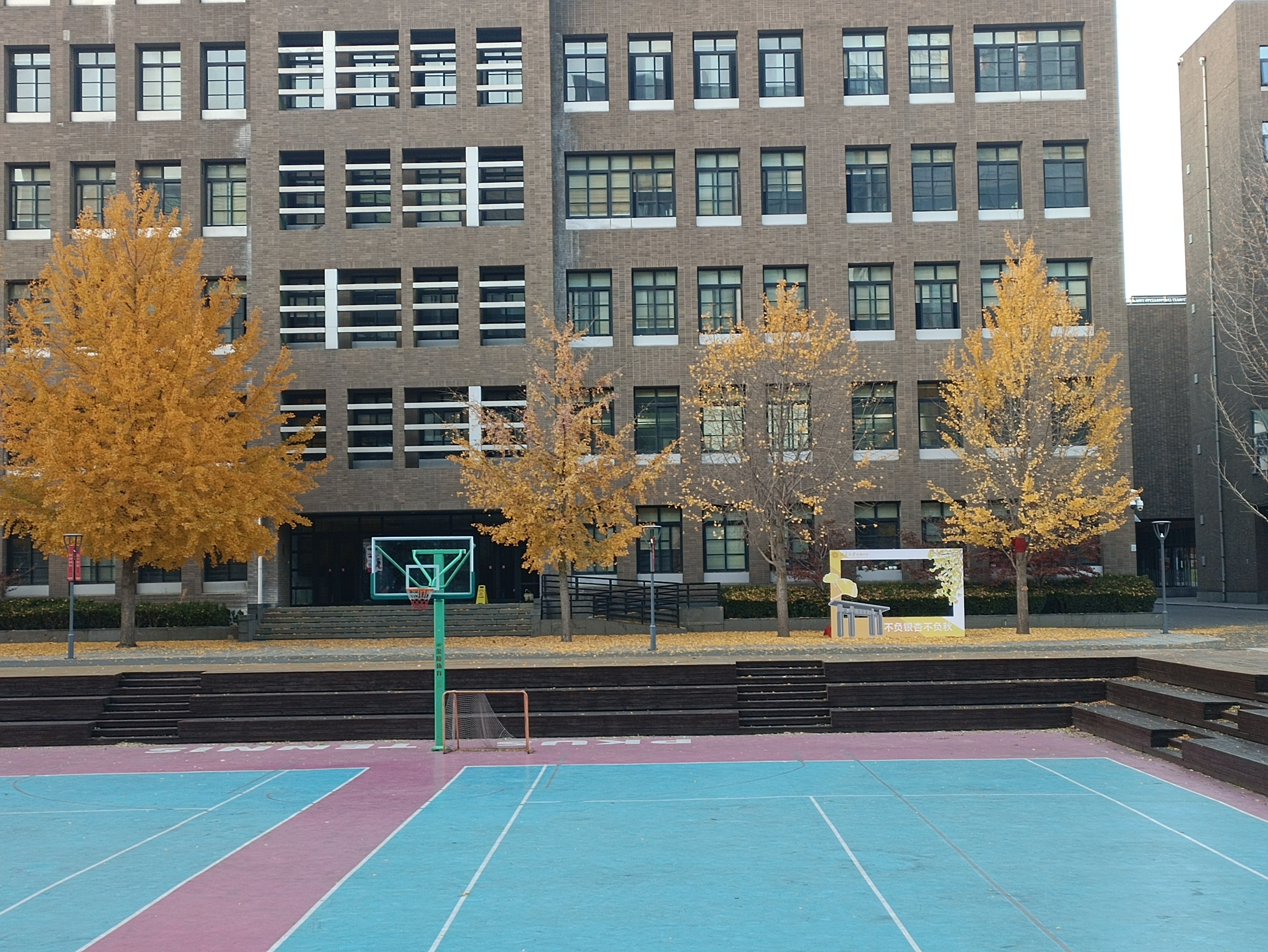 A pale-blue and purple-lined recreational court sits in front of a tall gray building with evenly spaced windows and three autumn-colored trees in front of the building's center. (Captioned by AI)