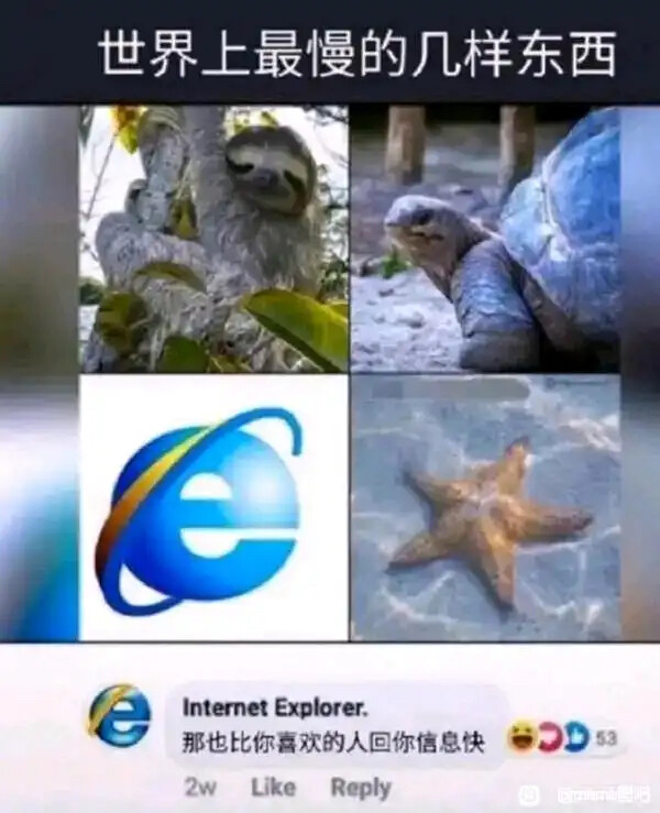 This meme presents four examples of the slowest things, including a sloth, a turtle, Internet Explorer, and a starfish, with a comment from the Internet Explorer page joking that even it's faster than a crush texting back. (Captioned by AI)