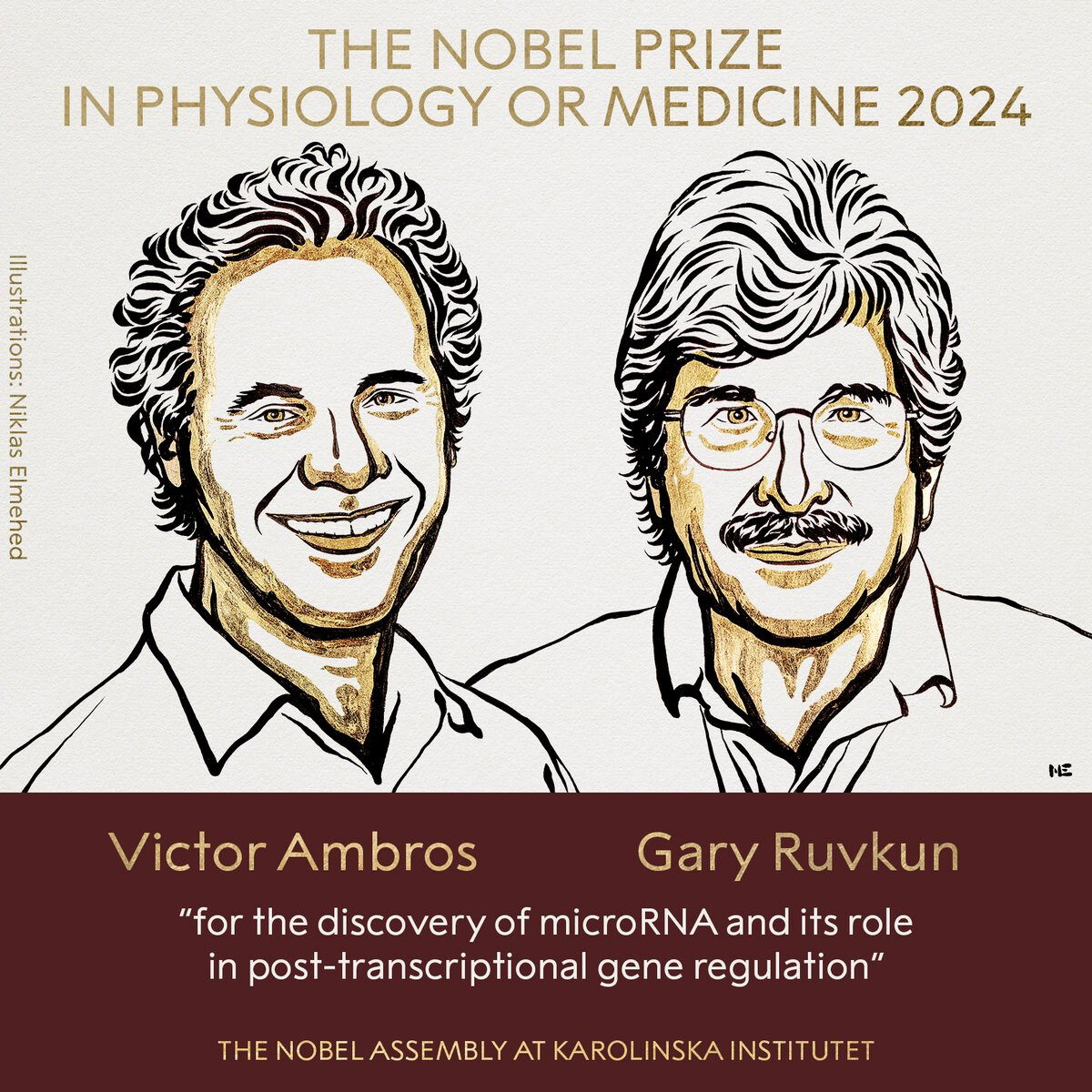 This image announces the winners of the 2024 Nobel Prize in Physiology or Medicine, Victor Ambros and Gary Ruvkun, for their discovery of microRNA and its role in post-transcriptional gene regulation. (Captioned by AI)