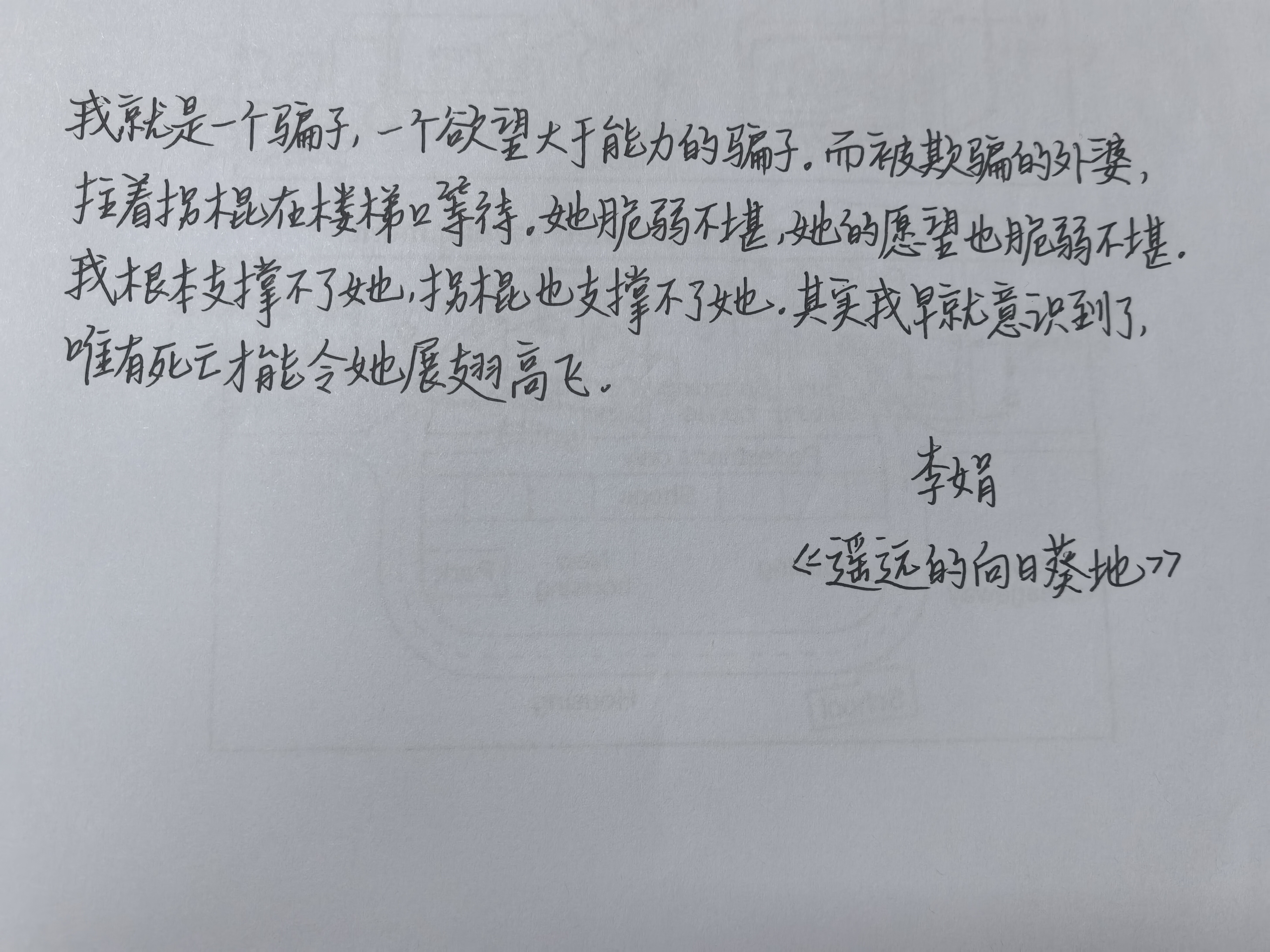 The image shows a page of handwritten Chinese text, likely a personal reflection or a passage from a book, signed at the bottom with a name and a title that translates to "The Wandering Diary". (Captioned by AI)