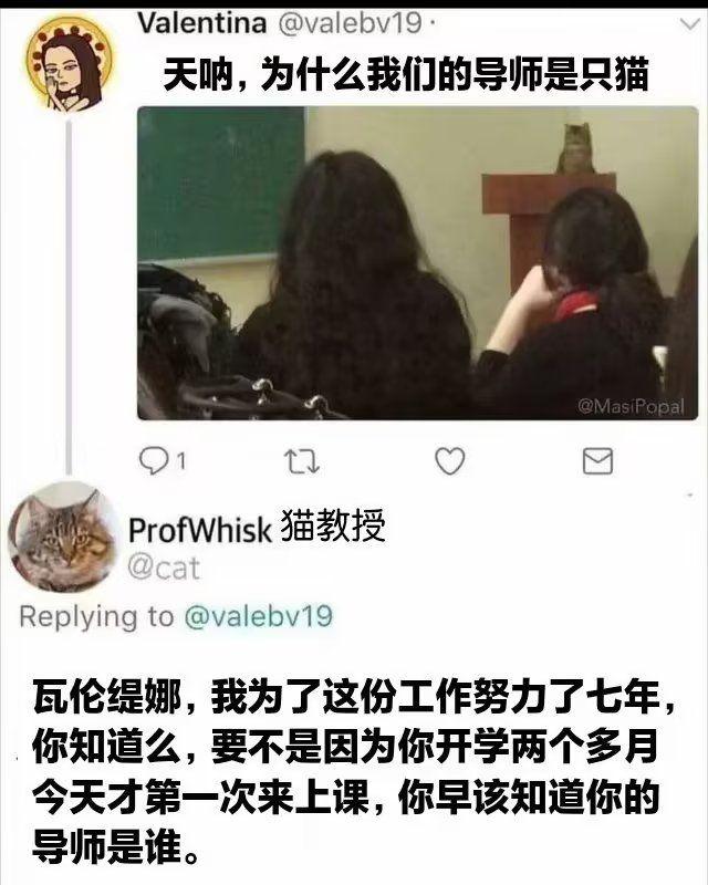 A screenshot of a social media post shows a cat sitting on a podium at the front of a classroom, seemingly acting as the teacher. (Captioned by AI)