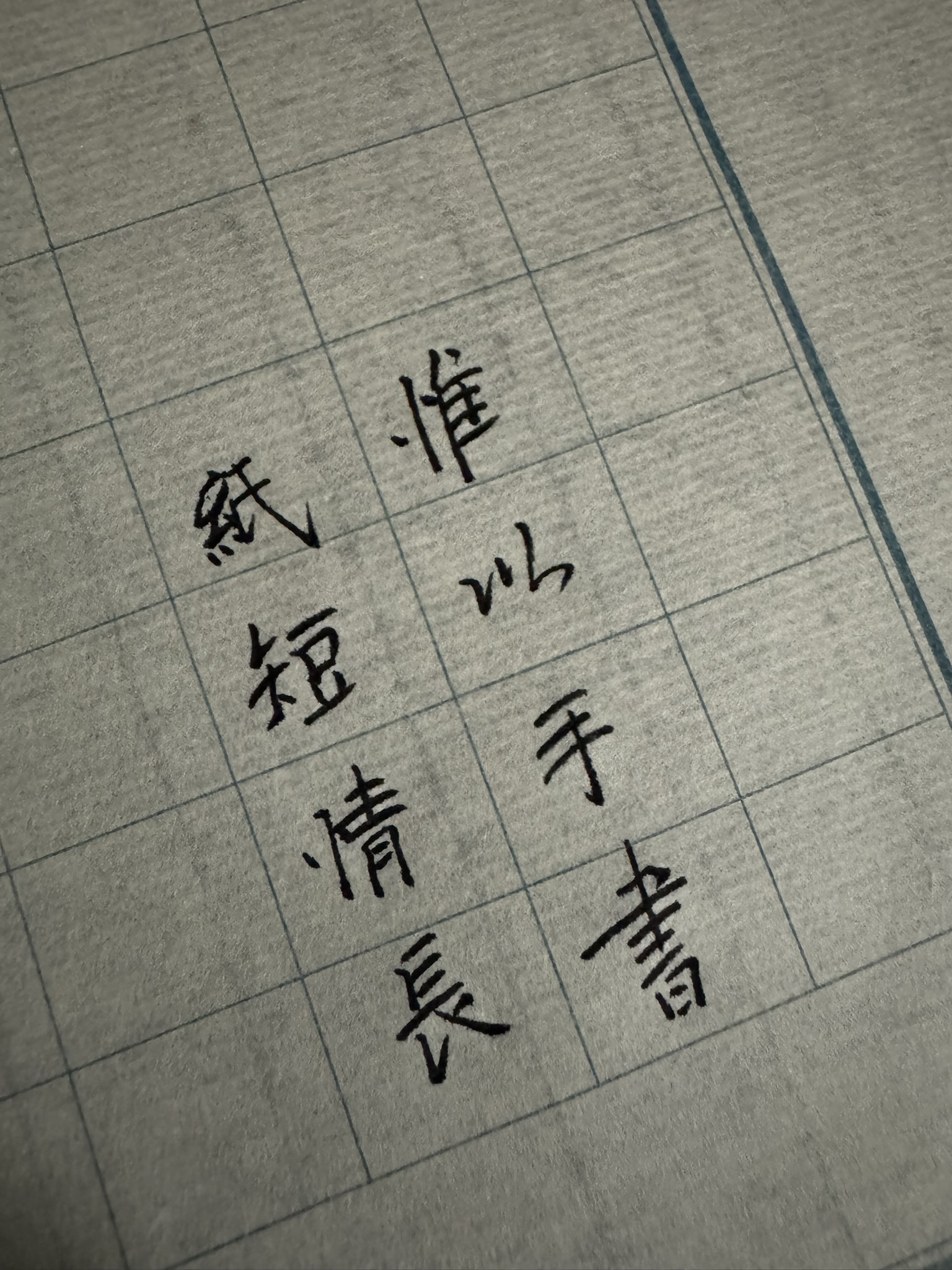 The image shows Chinese characters neatly written in black ink on a gridded, off-white paper or notebook. (Captioned by AI)