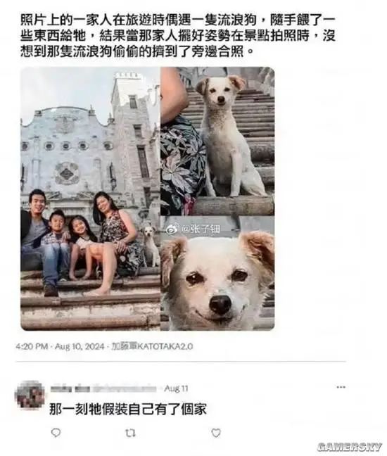 A social media post features a photo of a family posing with a stray dog they encountered on their travels, with close-ups of the dog and comments about the dog's apparent happiness. (Captioned by AI)