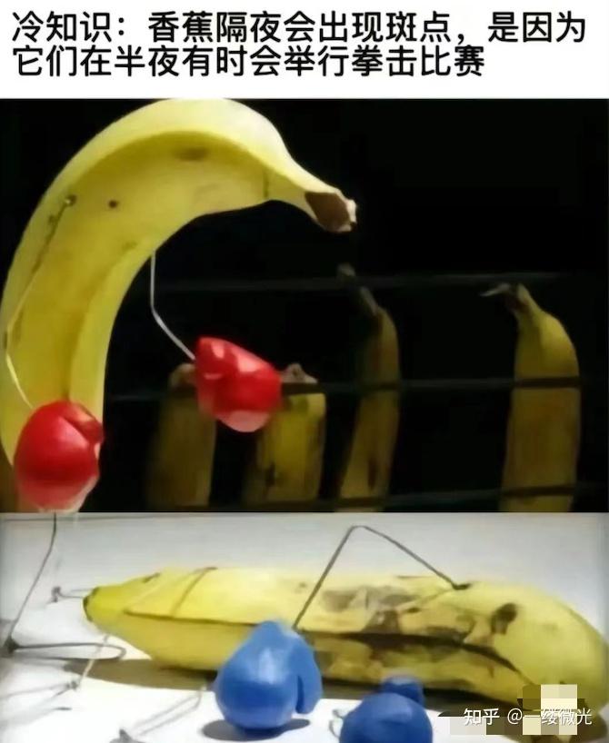 The image depicts bananas with miniature boxing gloves attached, seemingly engaged in a boxing match. (Captioned by AI)