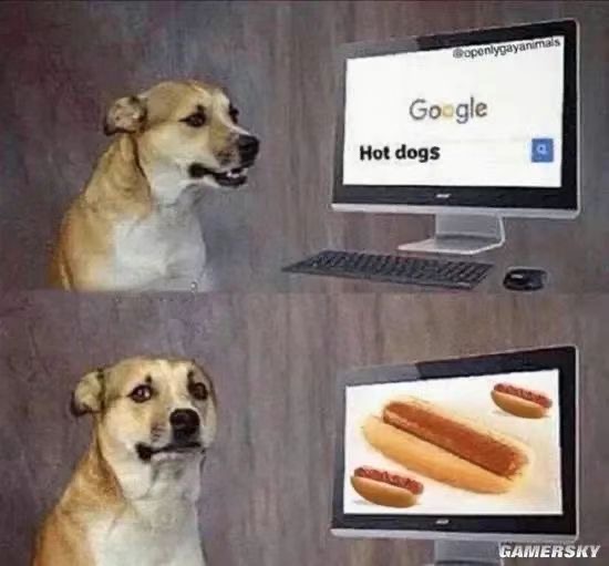 The dog is excited after googling "hot dogs" and seeing pictures of hot dogs on the computer screen. (Captioned by AI)