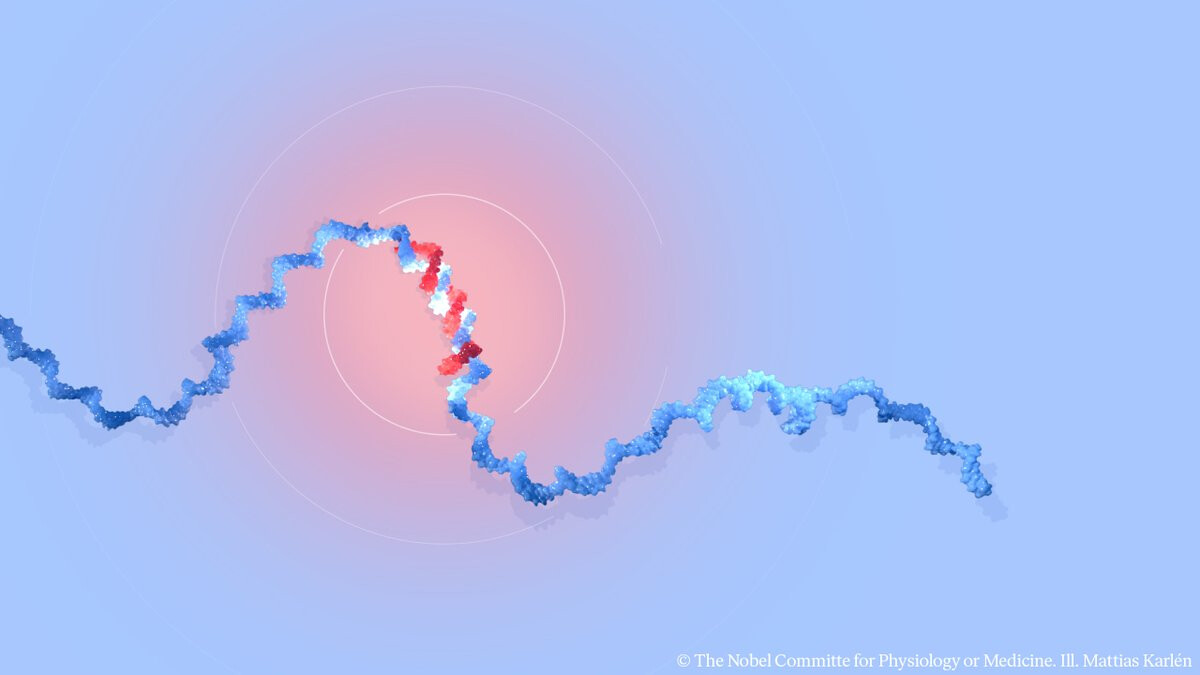 A graphic illustration depicts a blue, double-helix shaped strand, resembling DNA, with a section highlighted in red and white, against a soft, gradient blue background with faint circular lines suggesting a focal point around the highlighted section. (Captioned by AI)